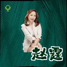 赵霆